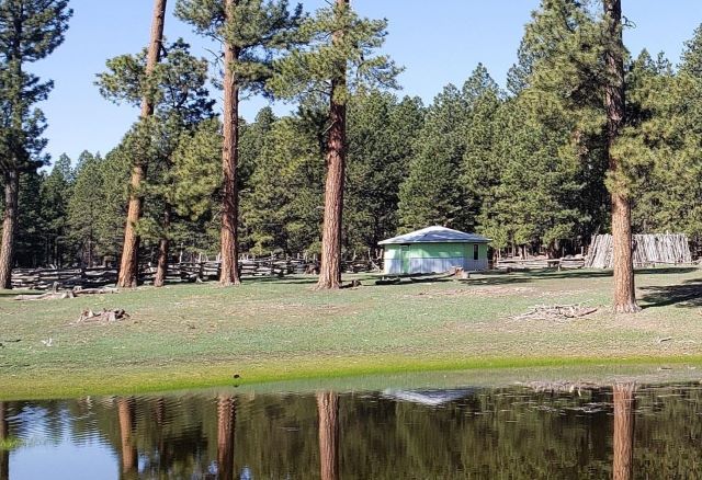 A tent stands in a grassy field surrounded by trees, creating a peaceful outdoor camping scene.